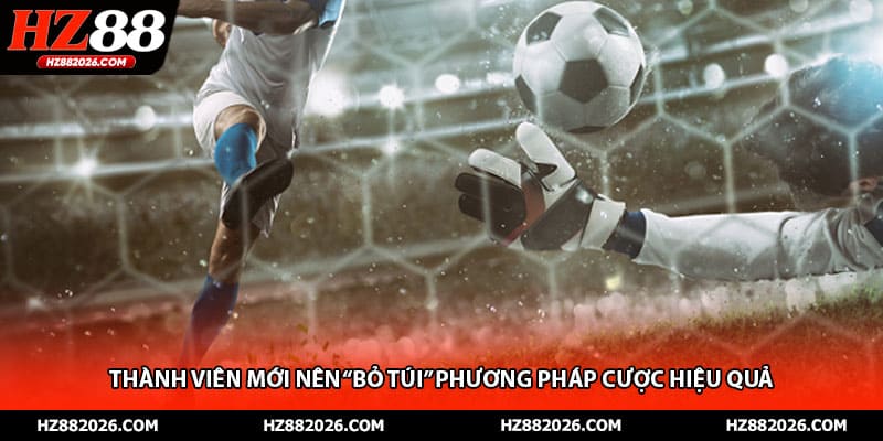 Thành viên mới nên “bỏ túi” phương pháp cược hiệu quả